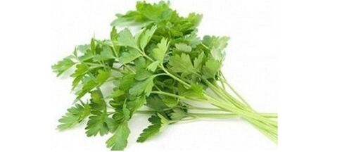 Parsley with Urotrin